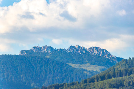 Mountain and alpine hill landscape mountains and rocks peaks panorama with green fields forest fir...
