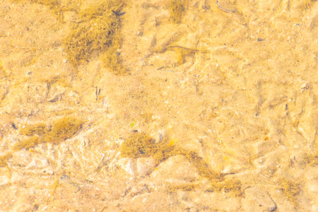 Lake and pond shores with clear transparent water wave texture.の写真素材