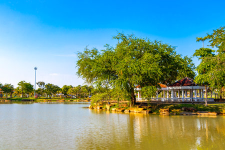 Pavilion pavilions at the river steam lake pond water in the Bueng Thung Sang Health Garden Park in Khon Kaen District Khon Kaen Province Isan Northeast Thailand in Southeast Asia.の写真素材