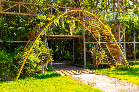 Huge cage with tropical jungle forest and nature inside with metal entrance gate door in Bueng Thung Sang Health Garden Park in Khon Kaen District Khon Kaen Isan Northeast Thailand.の写真素材