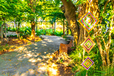 Huge cage with tropical jungle forest and nature inside with metal stairs and floors in Bueng Thung Sang Health Garden Park in Khon Kaen District Khon Kaen Isan Northeast Thailand.の写真素材