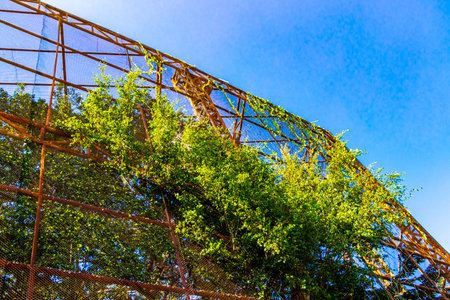 Huge cage with tropical jungle forest and nature inside with metal stairs and floors in Bueng Thung Sang Health Garden Park in Khon Kaen District Khon Kaen Isan Northeast Thailand.の写真素材