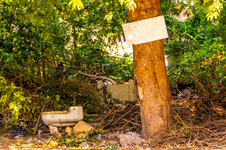 Trash and toilet bowl in the tropical nature jungle forest in Khon Kaen District Khon Kaen Province Isan Northeast Thailand in Southeast Asia.の写真素材