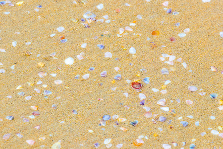 Beach sand with pebbles colorful shells and water texture pattern in Patong Beach Kathu District Phuket Island Province Southern Thailand in Southeast Asia.の写真素材