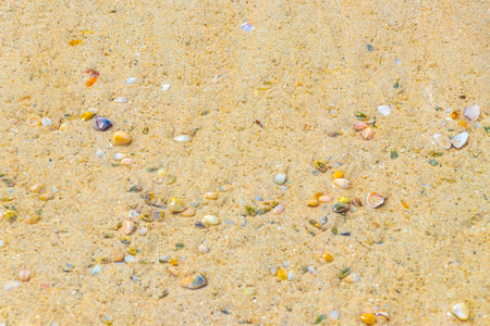 Beach sand with pebbles colorful shells and water texture pattern in Patong Beach Kathu District...