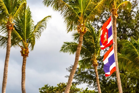 Flag blowing in the wind in tropical nature and blue sky in Patong Beach Kathu District Phuket Island Province Southern Thailand in Southeast Asia.の写真素材