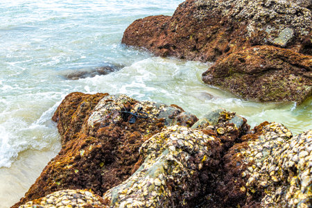 Amazing rocky beach tropical landscape panorama view with turquoise blue water waves and rocks in Patong Beach Kathu District Phuket Island Province Southern Thailand in Southeast Asia.の写真素材