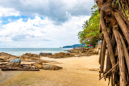 Amazing rocky beach tropical landscape panorama view with turquoise blue water waves palm trees and rocks in in Southeast Asia.の写真素材