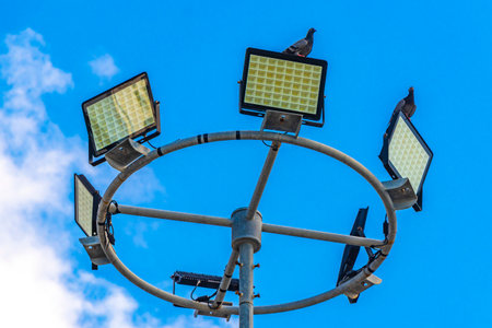 Pigeons sit and fly on lantern spotlights with blue sky in Patong Beach Kathu District Phuket Island Province Southern Thailand in Southeast Asia.の写真素材