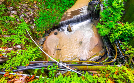 Small tropical green city river canal and drainage in jungle nature in Patong Beach Kathu District...