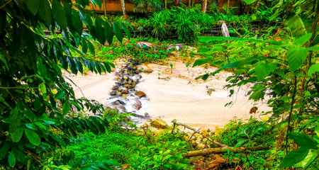 Tropical green river canal and waterfall in the forest jungle and nature in Patong Beach Kathu District Phuket Island Province Southern Thailand in Southeast Asia.の写真素材