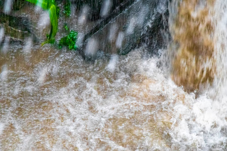 Small tropical green city river canal and drainage in jungle nature full during a heavy monsoon...