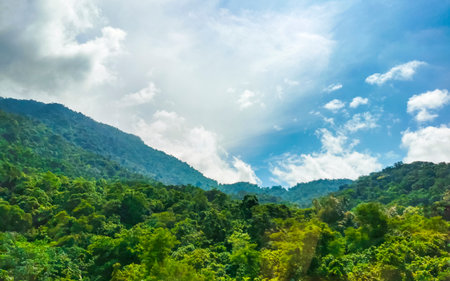 Tropical mountain mountains hill hills with jungle forest trees plants clouds and blue sky in Angra dos Reis State of Rio de Janeiro Brazil.の写真素材