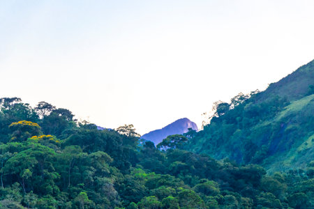 Beautiful golden colorful sunrise behind the tropical mountain in Angra dos Reis State of Rio de Janeiro Brazil.の写真素材