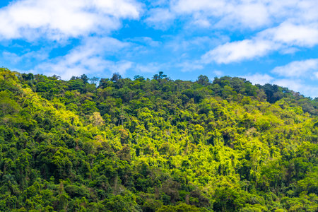 Tropical mountain mountains hill hills with jungle forest trees plants clouds and blue sky.
