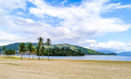 Panorama of tropical Anil Beach with coastal shore seascape turquoise green clear water pier port harbor with boats blue sky and palm trees in Angra dos Reis, State of Rio de Janeiro, Brazil.の写真素材