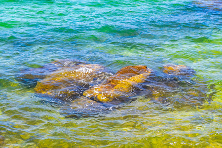 Rocks and boulders in turquoise green blue water at beach shore and coast in Angra dos Reis State of...
