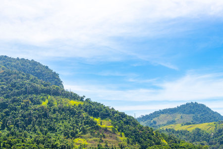 Tropical mountain mountains hill hills with jungle forest trees plants clouds and blue sky in Angra dos Reis, Rio de Janeiro, Brazil.の写真素材