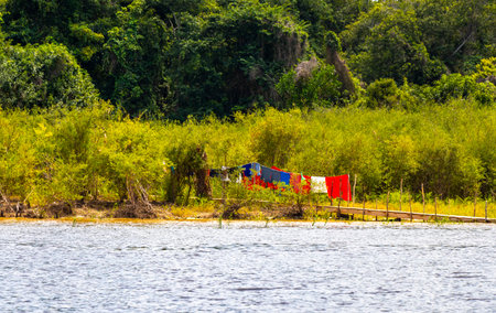 Manaus State of Amazonas Brazil December 17, 2020 On a boat trip tour to Amazonian indigenous people at Rio Negro and Amazon River with tropical jungle rainforest and village in Iranduba Amazonas Brazil.の写真素材