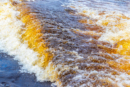 Meeting of waters blackwater of Rio Negro and whitewater of Amazon River boat trip tour with...