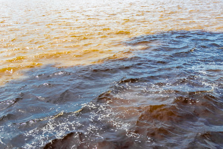 Meeting of waters blackwater of Rio Negro and whitewater of Amazon River boat trip tour with tropical jungle rainforest and blue cloudy sky in Iranduba Manaus State of Amazonas Brazil.の写真素材
