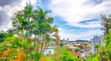 Panoramic view and panorama of tropical landscape mountains city skyline cityscape jungle forest and nature with blue sky in Patong Beach Kathu Phuket Island Province Thailand in Southeast Asia.の写真素材
