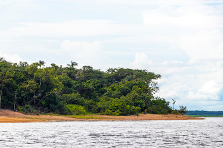 Tropical jungle rainforest and blue cloudy sky at the Meeting of waters boat trip tour where...