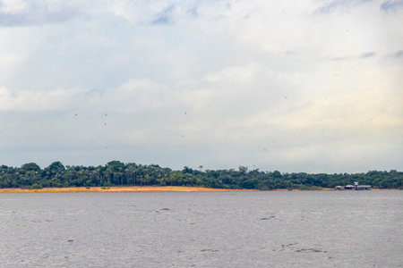 Meeting of waters blackwater of Rio Negro and whitewater of Amazon River boat trip tour with...