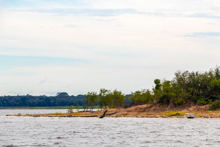 On a boat trip tour to Meeting of waters of Rio Negro and Amazon River with tropical jungle...