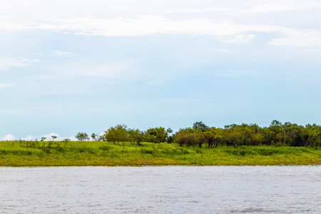 On a boat trip tour to Meeting of waters of Rio Negro and Amazon River with tropical jungle rainforest and blue cloudy sky in Iranduba Manaus State of Amazonas Brazil.の写真素材