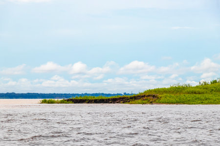 On a boat trip tour to Meeting of waters of Rio Negro and Amazon River with tropical jungle rainforest and blue cloudy sky in Iranduba Manaus State of Amazonas Brazil.の写真素材