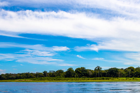 On a boat trip tour to Meeting of waters of Rio Negro and Amazon River with tropical jungle...