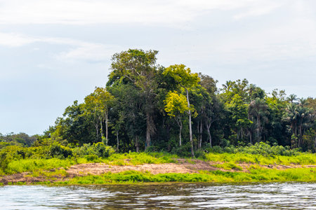 Tropical jungle rainforest and blue cloudy sky at the Meeting of waters boat trip tour where...