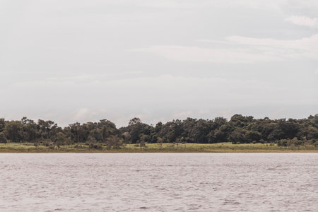 On a boat trip tour to Meeting of waters of Rio Negro and Amazon River with tropical jungle...