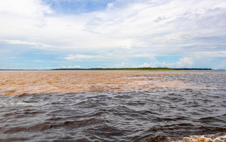 Meeting of waters blackwater of Rio Negro and whitewater of Amazon River boat trip tour with...