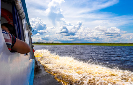 Meeting of waters blackwater of Rio Negro and whitewater of Amazon River boat trip tour with tropical jungle rainforest and blue cloudy sky in Iranduba Manaus State of Amazonas Brazil.の写真素材