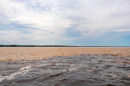 Meeting of waters blackwater of Rio Negro and whitewater of Amazon River boat trip tour with tropical jungle rainforest and blue cloudy sky in Iranduba Manaus State of Amazonas Brazil.の写真素材