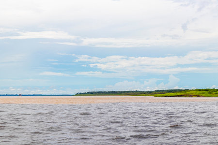 Meeting of waters blackwater of Rio Negro and whitewater of Amazon River boat trip tour with...