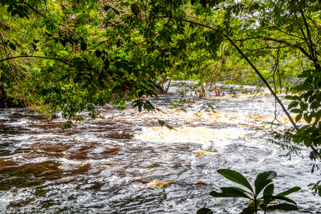 Red river water and waterfall Cachoeira Sucuriju orange yellow brown colors natural wonder in tropical jungle nature and rainforest in Presidente Figueiredo State of Amazonas Brazil.の写真素材