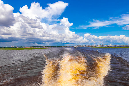Meeting of waters blackwater of Rio Negro and whitewater of Amazon River boat trip tour with...