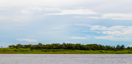 On a boat trip tour to Meeting of waters of Rio Negro and Amazon River with tropical jungle rainforest and blue cloudy sky in Iranduba Manaus State of Amazonas Brazil.の写真素材