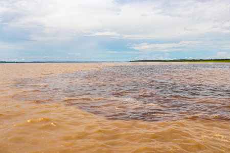 Meeting of waters blackwater of Rio Negro and whitewater of Amazon River boat trip tour with...
