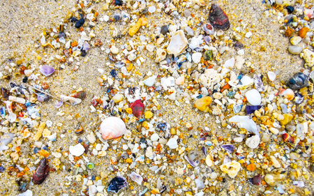 Beach sand with pebbles stones rocks colorful shells mussels and turquoise blue clear water texture...
