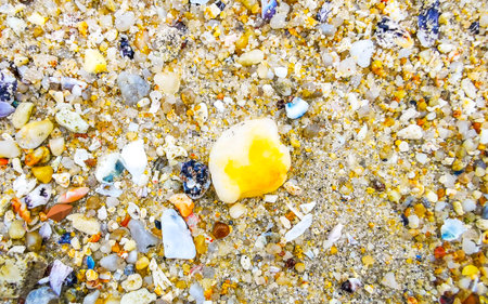Beach sand with pebbles stones rocks colorful shells mussels and turquoise blue clear water texture...