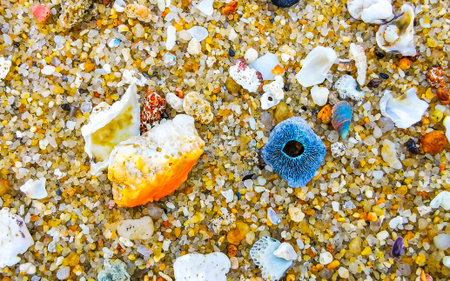 Beach sand with pebbles stones rocks colorful shells mussels and turquoise blue clear water texture...