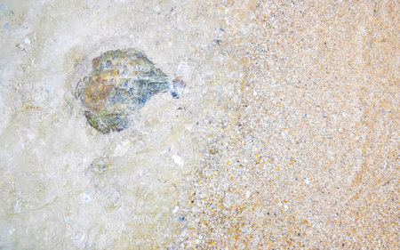 Beach sand with pebbles stones rocks colorful shells mussels and turquoise blue clear water texture...
