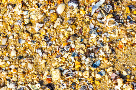 Beach sand with pebbles stones rocks colorful shells mussels and turquoise blue clear water texture pattern in Patong Kalim Beach Kathu District Phuket Island Province Southern Thailand in Southeast Asia.の写真素材