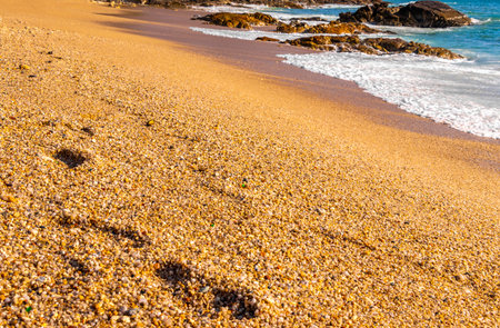 Beach sand with pebbles stones rocks colorful shells mussels and footprint footprints texture pattern in Patong Kalim Beach Kathu District Phuket Island Province Southern Thailand.の写真素材