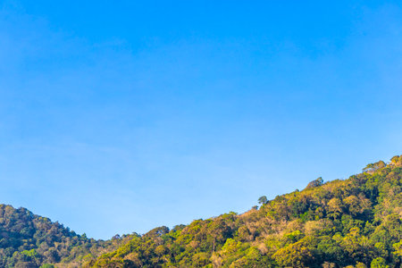 Tropical mountain with jungle forest trees plants clouds and blue sky in Southeast Asia.の写真素材