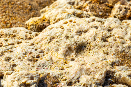 Corals coral pebbles stones and rock rocks on the beach sand at turquoise green and blue water in  Kathu District  Island Province Southern  in Southeast Asia.の写真素材